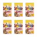 Versele-Laga Prestige Exotic Fruit Mix 750g x 6
