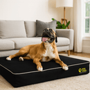Dog Doza 5" Memory Foam Dog Mattress - Percys Pet Products
