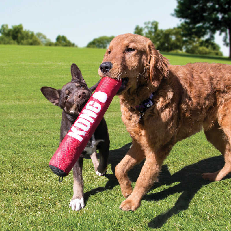 KONG Signature Stick Durable Dog Toy - Percys Pet Products
