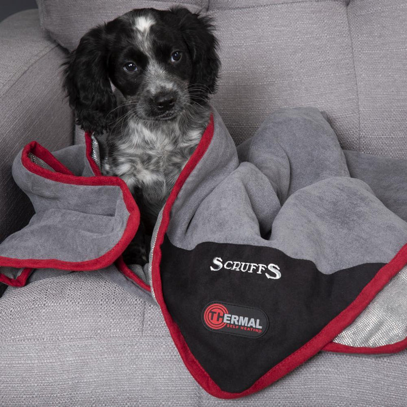 Scruffs Self Heating Thermal Pet Blanket - Percys Pet Products