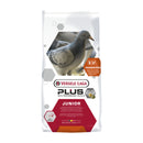 Versele-Laga Pluc I.C. Junior Mix for Young Racing Pigeons 20kg - Percys Pet Products