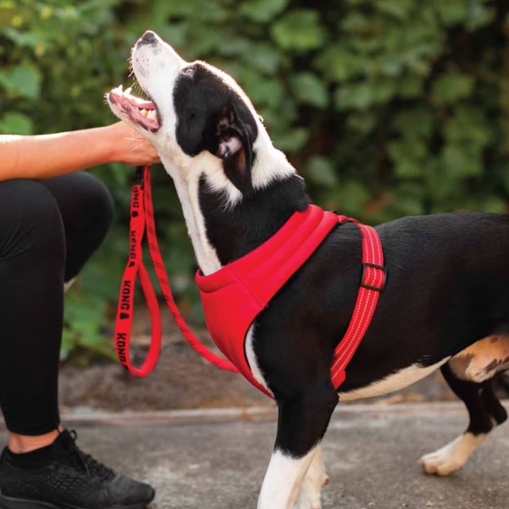 Leash Kong Comfort Reflective Harness Dog Harness,Kong Comfort