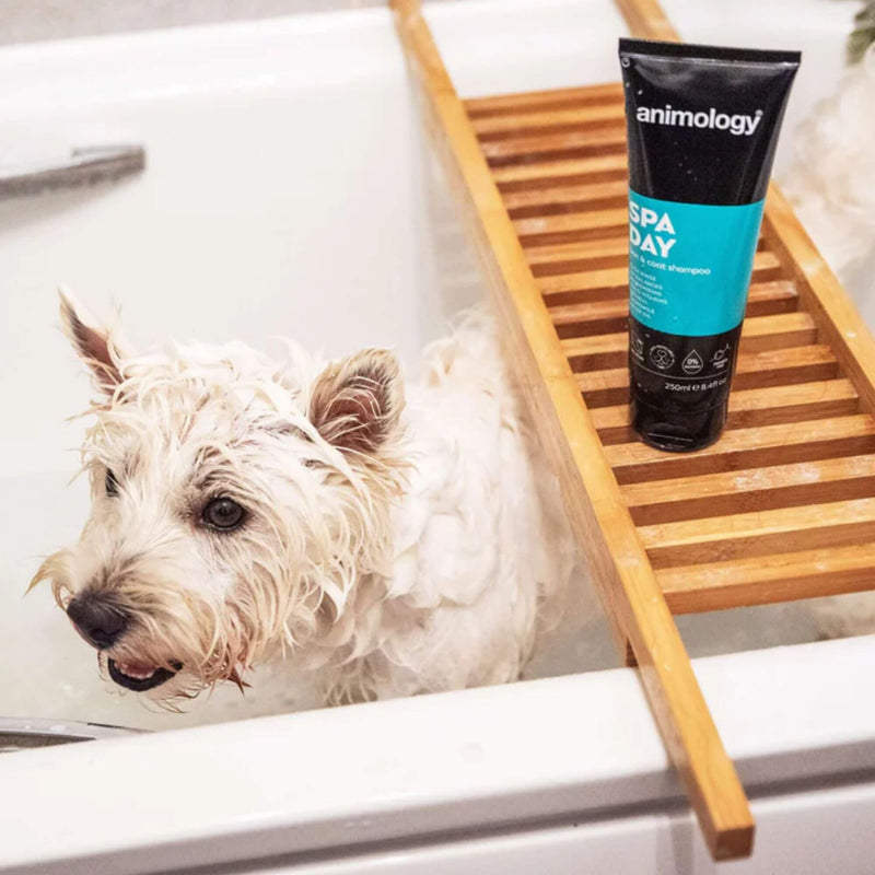 Buy Animology Spa Day Skin & Coat Shampoo | Percys Pet Products