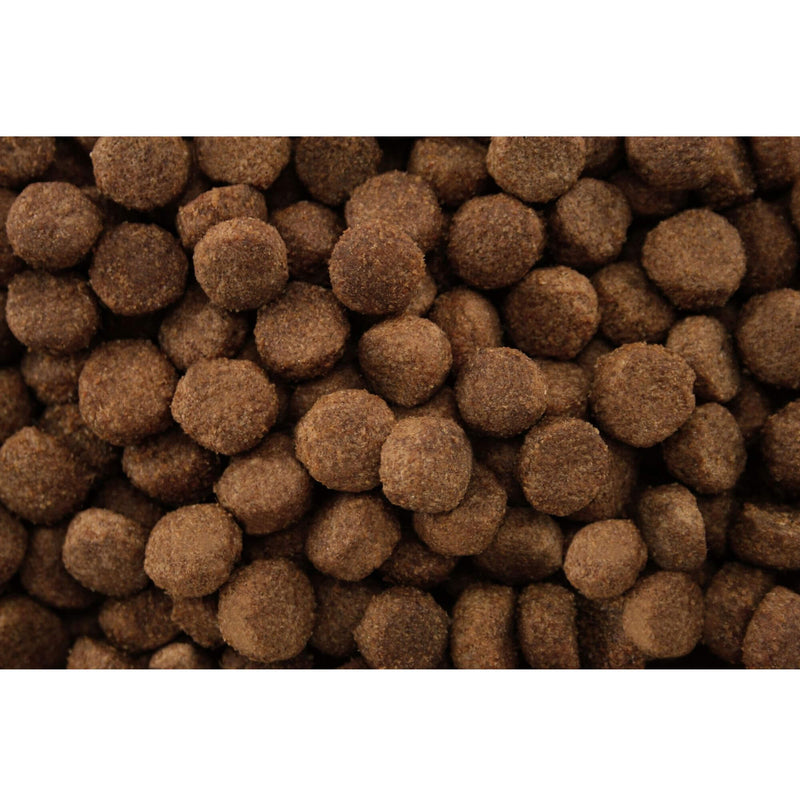 Buy Dr John Working Dog Food with Lamb - Percys Pet Products