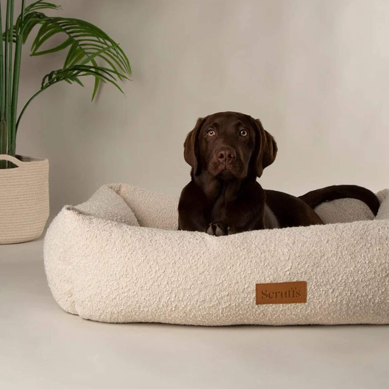 Buy Scruffs Boucle Box Dog Bed | Percys Pet Products