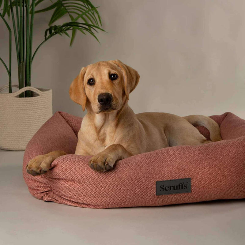 Buy Scruffs Seattle Box Dog Bed | Percys Pet Products