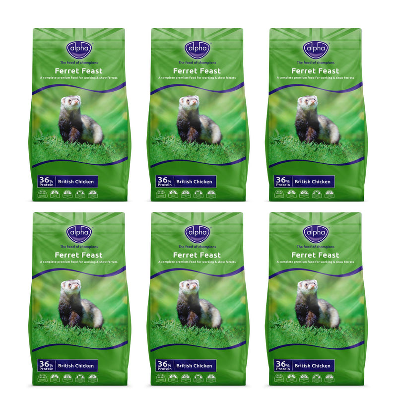 Buy Alpha Ferret Feast Ferret Food - Percys Pet Products