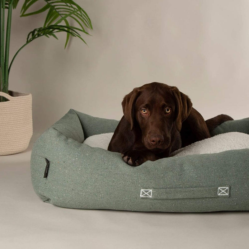 Buy Scruffs Eden Box Dog Bed - Percys Pet Products