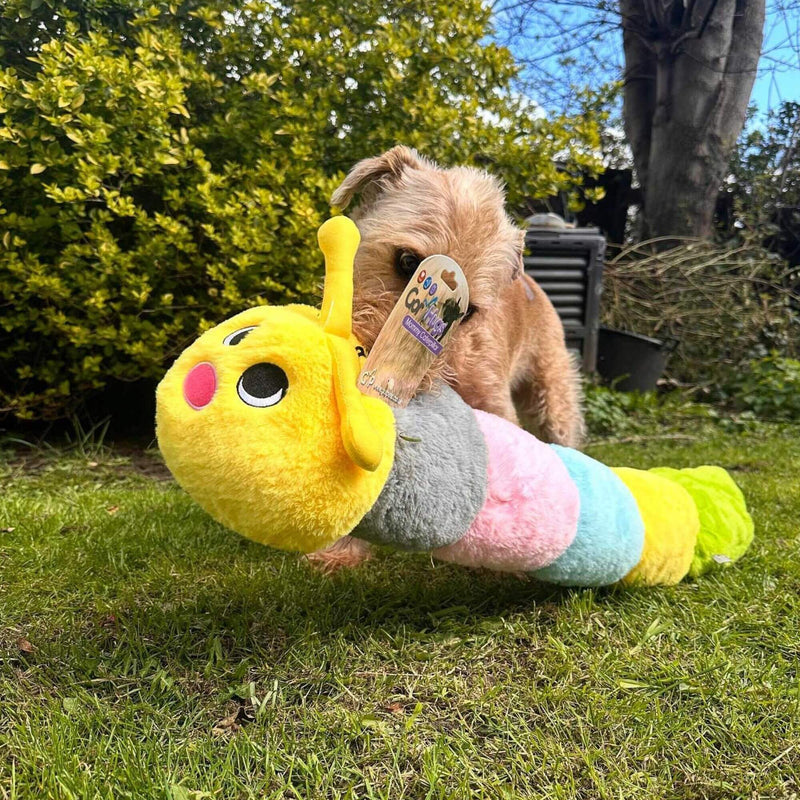 Buy Gor Hugs Caterpillar Dog Toy & Squeak - Percys Pet Products