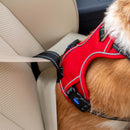 Buy Ancol Viva Exercise & Travel Dog Harness | Percys Pet Products