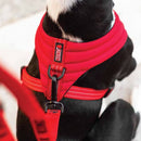 KONG Comfort Harness