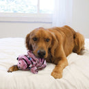 Buy KONG Low Stuff Stripes Pig Dog Toy - Percys Pet Products