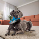 Buy KONG Maxx Turtle Dog Toy - Percys Pet Products