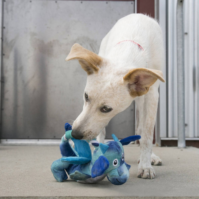 KONG Dragon Knots Squeaky Dog Toy - Percys Pet Products