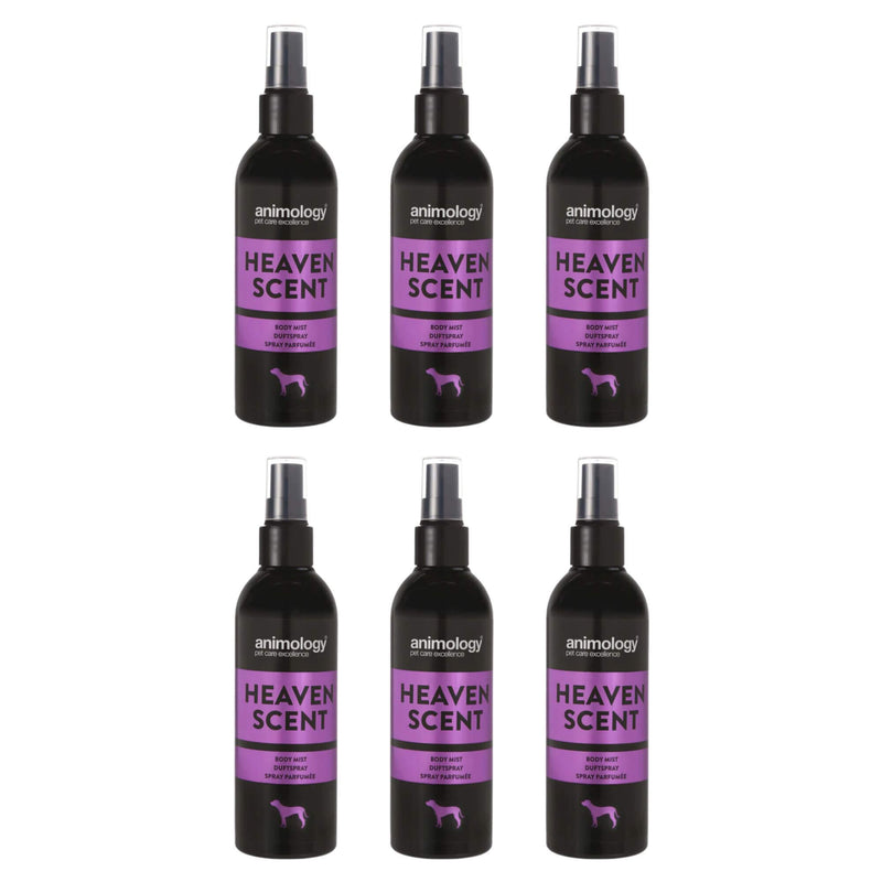 Animology Body Mist Heaven Scent Fragrance for Dogs 6 x 150ml - Percys Pet Products