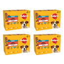 Pedigree Adult Mixed Selection in Jelly Dog Food | Percys Pet Products