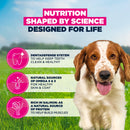 Eukanuba Small & Medium Adult Dry Dog Food Salmon & Barley 12kg - Percys Pet Products