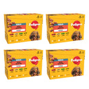 Pedigree Senior Mixed Selection in Jelly Dog Food 100g x 48 | Percys Pet Products
