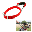 Patento Basic Dog Collar with Quick Grab Integrated Handle