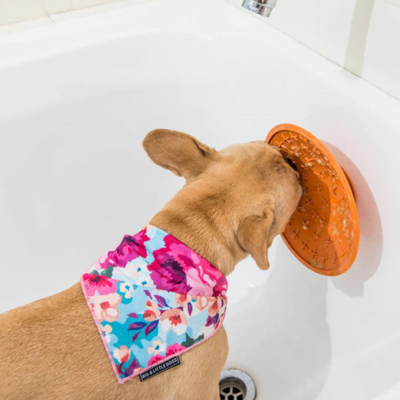 LickiMat Splash Bathtime & Groom Feeder for Dogs - Percys Pet Products