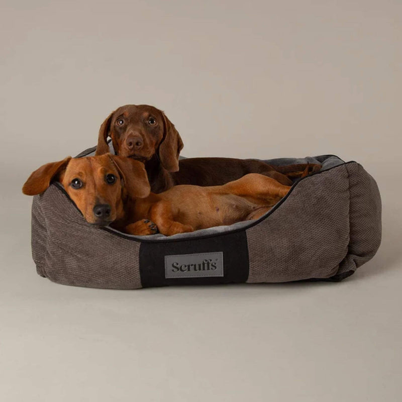 Buy Scruffs Chester Box Dog Bed - Percys Pet Products