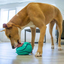 Buy KONG Licks Rewards Interactive Dog Toy | Percys Pet Products