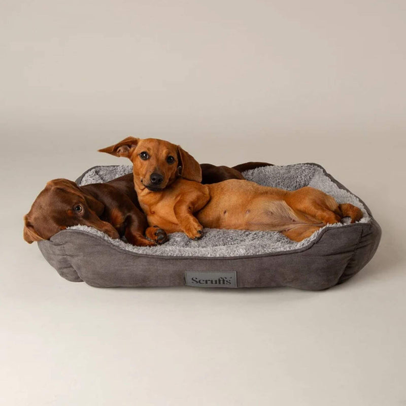 Buy Scruffs Cosy Soft-Walled Dog Bed | Percys Pet Products