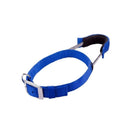 Patento Basic Dog Collar with Quick Grab Integrated Handle