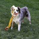 Buy KONG Maxx Tug Dog Toy - Percys Pet Products