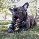 KONG Extreme Goodie Ribbon Dog Toy - Percys Pet Products