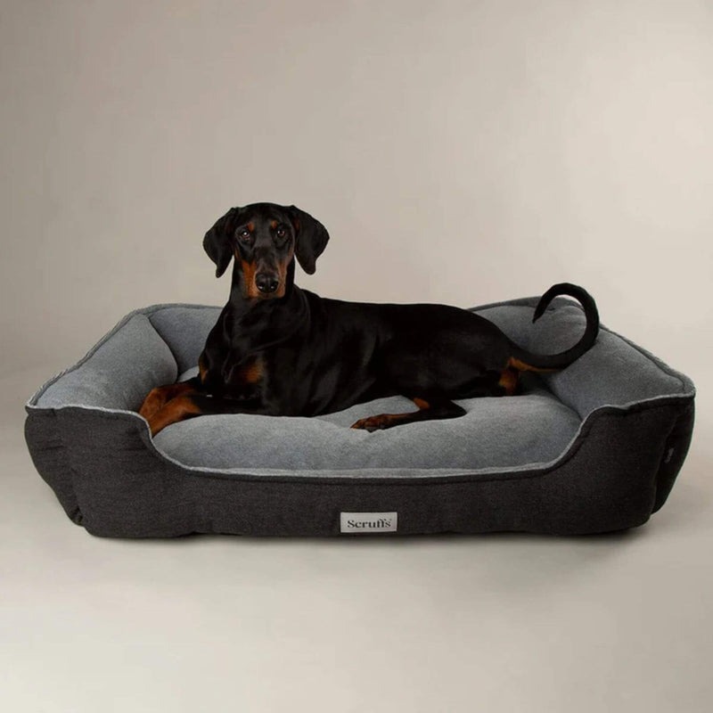 Buy Scruffs Harvard Memory Foam Dog Box Bed - Percys Pet Products