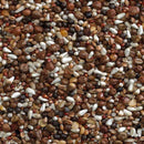 Bucktons VIP Pigeon Feed 20kg - Percys Pet Products