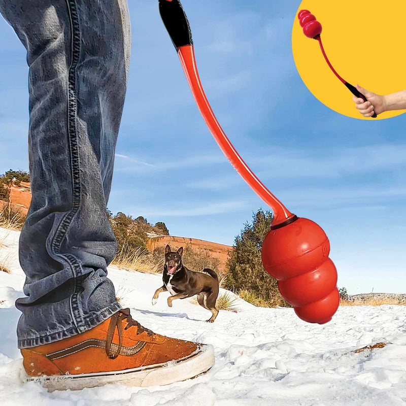 Buy KONG Signature Throw Dog Toy - Percys Pet Products