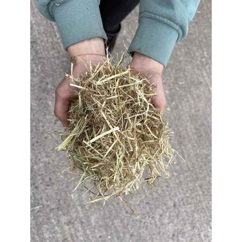 Buy Fearns Farm Premium Ryegrass & Timothy Hay - Percys Pet Products