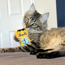 Buy KONG Artz Dali / Van Gogh 2 Pack - Percys Pet Products