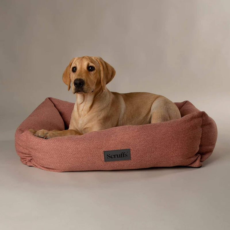 Buy Scruffs Seattle Box Dog Bed | Percys Pet Products