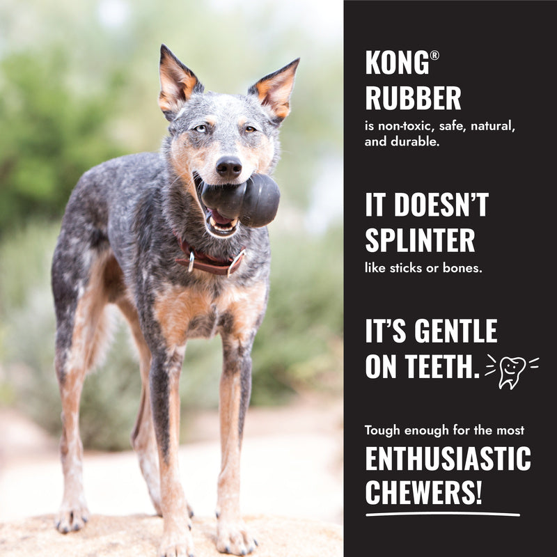 KONG Extreme Flyer Dog Toy - Large - Percys Pet Products