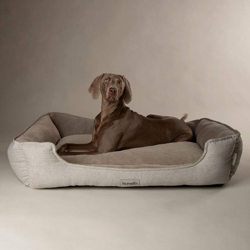 Buy Scruffs Harvard Memory Foam Dog Box Bed - Percys Pet Products