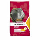 Versele-Laga Plus I.C. Start Breeding Mix for Racing Pigeons 20kg - Percys Pet Products