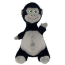 Buy KONG Knots Belly Gorilla Dog Toy - Percys Pet Products