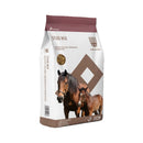 Buy Saracen Stud Mix Horse Feed 20kg - Percys Pet Products