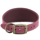 Buy Ancol Leather Greyhound Collar Raspberry | Percys Pet Products