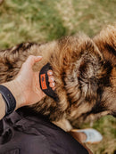 PatentoPet Padded Dog Collar with Quick Grab Handle - Percys Pet Products