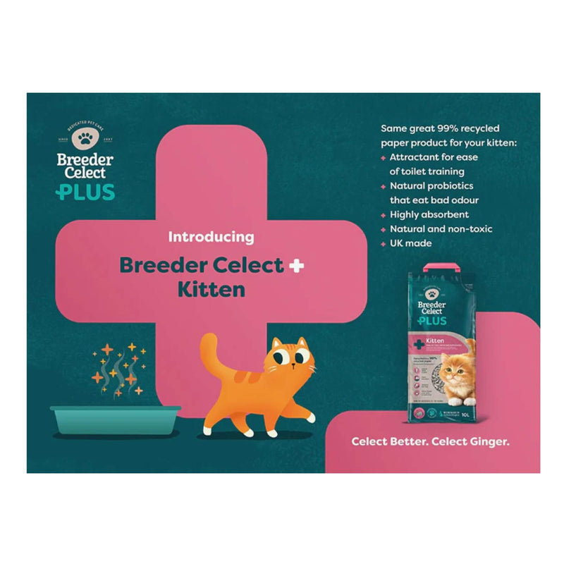 Buy Breeder Celect Recycled Paper PLUS Kitten | Percys Pet Products