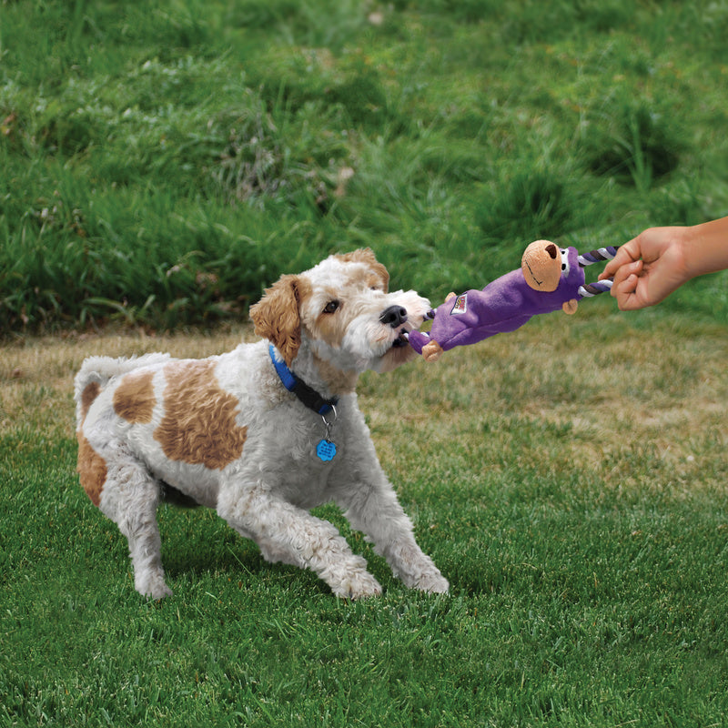 KONG Tugger Knots Monkey Small/Med - Percys Pet Products
