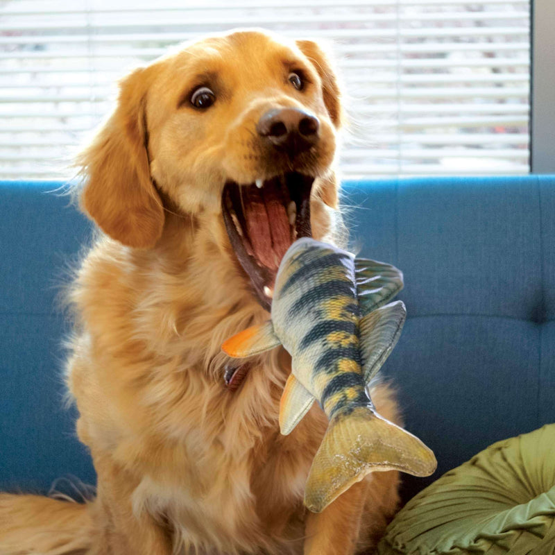 Buy KONG Wild Shieldz Perch Dog Toy - Percys Pet Products