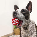 Buy KONG Signature Ball 3-Pack Dog Toy | Percys Pet Products