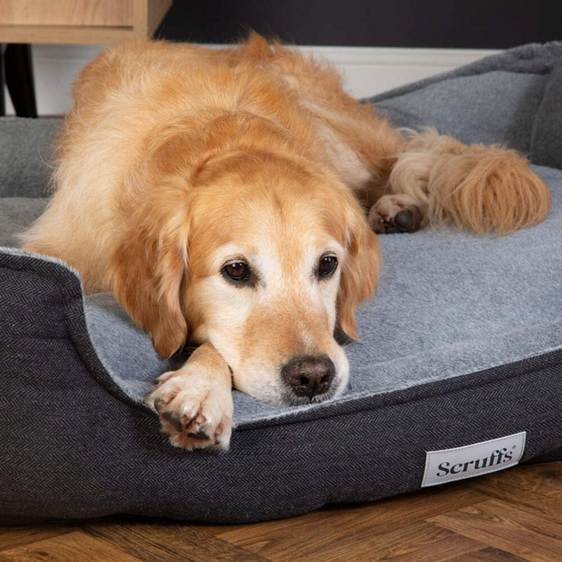 Buy Scruffs Harvard Memory Foam Dog Box Bed - Percys Pet Products