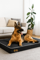 Dog Doza 5" Memory Foam Dog Mattress