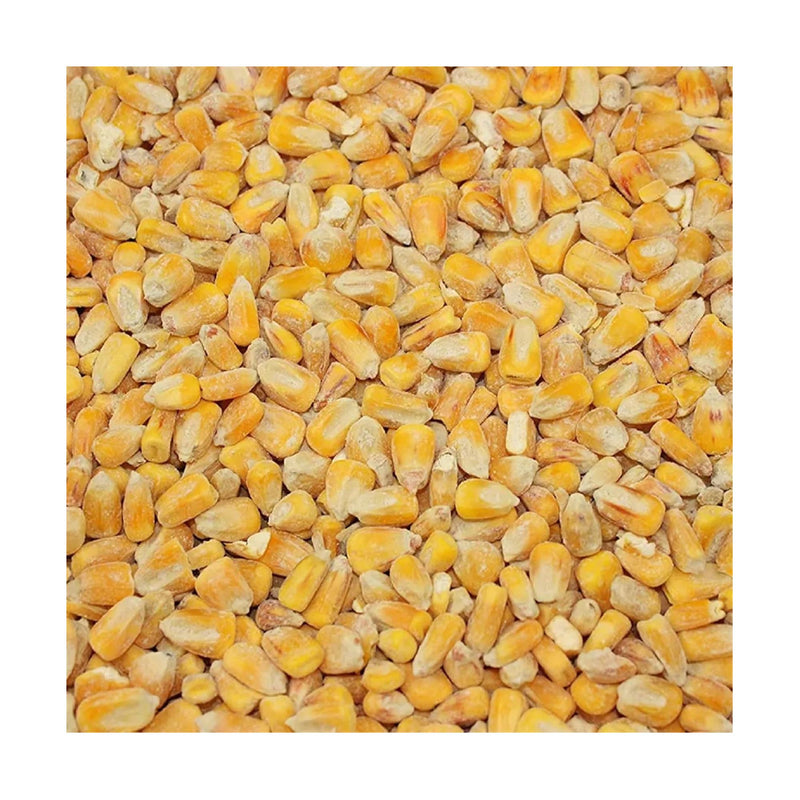 Buy Masham Micronized Feeds Whole Maize - Percys Pet Products